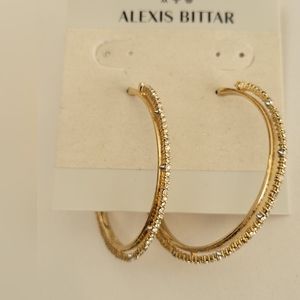 Alexis Bittar Hoop Earrings